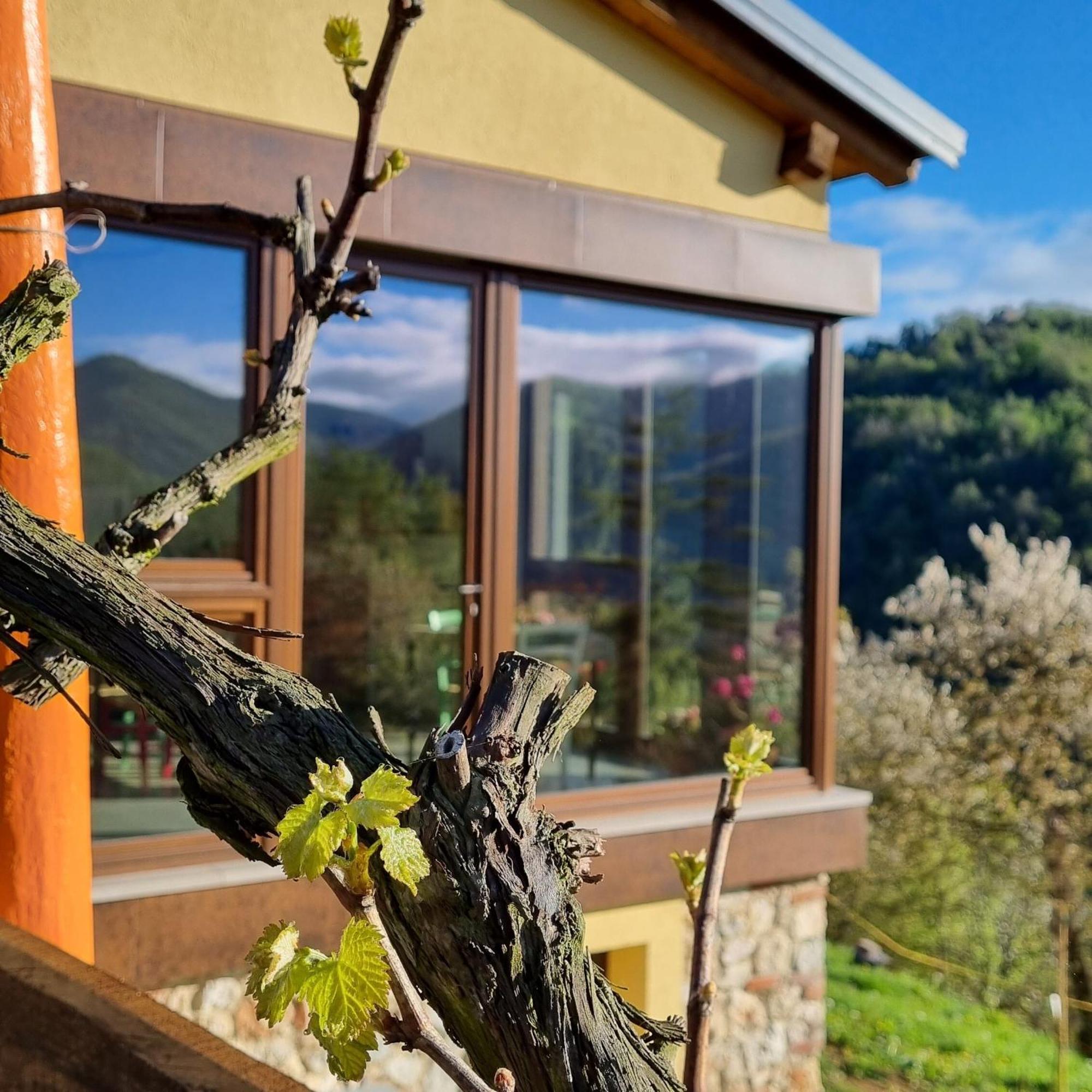 La Botalla Agriturismo Lisio Extérieur photo